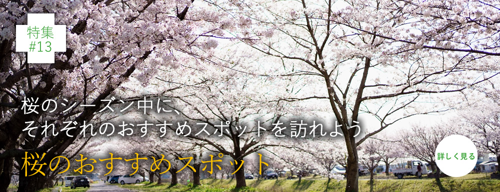 桜のシーズン中に、それぞれのおすすめスポットを訪れよう 桜のおすすめスポット